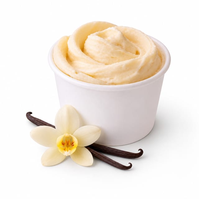 Kid's Gelato Vanilla.